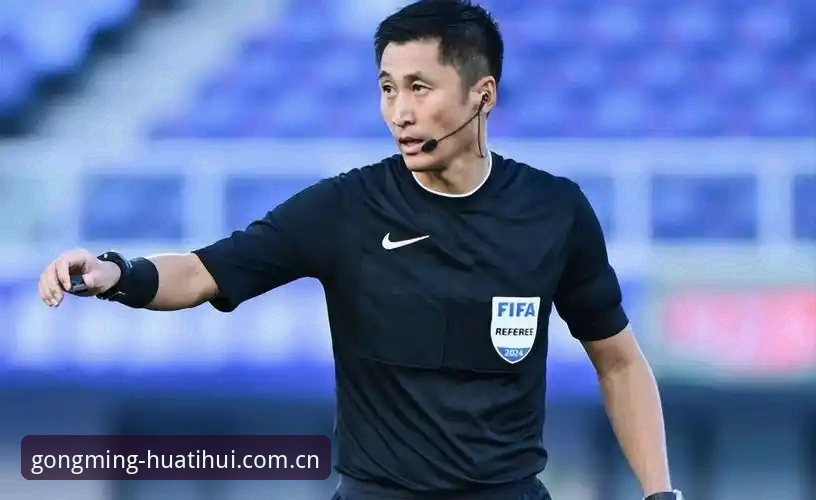 马宁世界杯执裁前谈“避坑”心法：裁判不看评论，只看国际讲师反馈